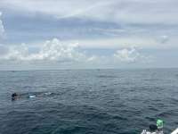 Great day of scuba diving in Key Largo with Rainbow Reef on christ statue tropical odyssey 2026 08 01 r20110 1
