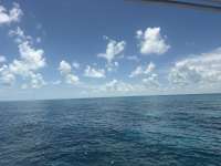 Great day of scuba diving in Key Largo with Rainbow Reef on christ statue tropical odyssey 2026 08 28 r20292 1