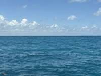 Great day of scuba diving in Key Largo with Rainbow Reef on city of washington tropical odyssey 2026 08 08 r20160 1