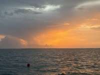 Great day of scuba diving in Key Largo with Rainbow Reef on crf nursery tropical serenity 2026 08 03 r20125 1