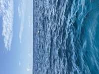 Great day of scuba diving in Key Largo with Rainbow Reef on eagle ray alley tropical serenity 2026 08 19 r20235 1