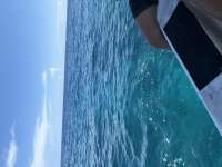 Great day of scuba diving in Key Largo with Rainbow Reef on eagle ray alley tropical serenity 2026 08 27 r20287 1
