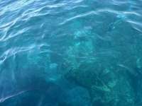 Great day of scuba diving in Key Largo with Rainbow Reef on hole in the wall tropical destiny 2026 08 13 r20193 1