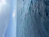 Great day of scuba diving in Key Largo with Rainbow Reef on hourglass tropical legend 2026 08 27 r20283 1