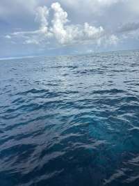 Great day of scuba diving in Key Largo with Rainbow Reef on hourglass tropical legend 2026 08 29 r20297 1