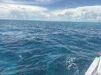 Great day of scuba diving in Key Largo with Rainbow Reef on jjs cave tropical odyssey 2026 08 30 r20306 1