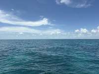 Great day of scuba diving in Key Largo with Rainbow Reef on minnow cave tropical odyssey 2026 08 07 r20146 1