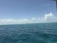 Great day of scuba diving in Key Largo with Rainbow Reef on molasses reef tropical odyssey 2026 08 23 r20266 1
