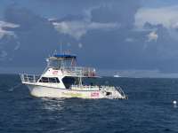 Great day of scuba diving in Key Largo with Rainbow Reef on nine channel santana 2026 08 29 r20296 1