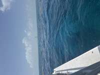 Great day of scuba diving in Key Largo with Rainbow Reef on nine channel tropical serenity 2026 08 15 r20215 1