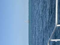 Great day of scuba diving in Key Largo with Rainbow Reef on nine channel tropical serenity 2026 08 18 r20230 1
