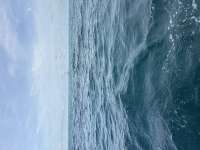 Great day of scuba diving in Key Largo with Rainbow Reef on north star tropical destiny 2026 08 03 r20120 1