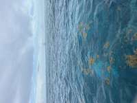 Great day of scuba diving in Key Largo with Rainbow Reef on north star tropical serenity 2026 08 05 r20132 1