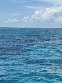 Great day of scuba diving in Key Largo with Rainbow Reef on sand island tropical destiny 2026 08 31 r20310 1