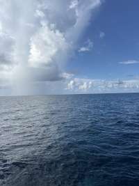 Great day of scuba diving in Key Largo with Rainbow Reef on snapper ledge tropical legend 2026 08 28 r20289 1