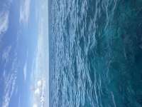 Great day of scuba diving in Key Largo with Rainbow Reef on snapper ledge tropical serenity 2026 08 21 r20243 1