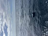 Great day of scuba diving in Key Largo with Rainbow Reef on spiegel grove tropical destiny 2026 08 04 r20126 1