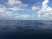 Great day of scuba diving in Key Largo with Rainbow Reef on spiegel grove tropical destiny 2026 08 25 r20272 1