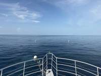 Great day of scuba diving in Key Largo with Rainbow Reef on spiegel grove tropical odyssey 2026 08 01 r20106 1