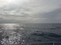 Great day of scuba diving in Key Largo with Rainbow Reef on spiegel grove tropical odyssey 2026 08 03 r20119 1