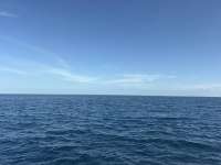 Great day of scuba diving in Key Largo with Rainbow Reef on spiegel grove tropical odyssey 2026 08 07 r20142 1