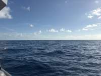 Great day of scuba diving in Key Largo with Rainbow Reef on spiegel grove tropical odyssey 2026 08 08 r20151 1