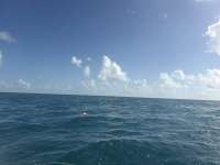 Great day of scuba diving in Key Largo with Rainbow Reef on spiegel grove tropical odyssey 2026 08 09 r20167 1