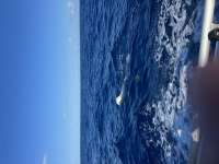 Great day of scuba diving in Key Largo with Rainbow Reef on spiegel grove tropical odyssey 2026 08 11 r20180 1