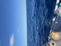 Great day of scuba diving in Key Largo with Rainbow Reef on spiegel grove tropical odyssey 2026 08 11 r20180 2