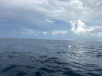 Great day of scuba diving in Key Largo with Rainbow Reef on spiegel grove tropical odyssey 2026 08 29 r20295 1