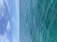 Great day of scuba diving in Key Largo with Rainbow Reef on the horseshoe tropical destiny 2026 08 04 r20129 1