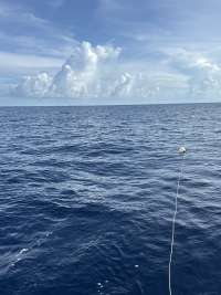 Great day of scuba diving in Key Largo with Rainbow Reef on uscgc duane tropical destiny 2026 08 31 r20308 1