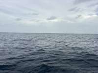 Great day of scuba diving in Key Largo with Rainbow Reef on uscgc duane tropical odyssey 2026 08 02 r20115 1