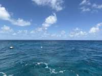 Great day of scuba diving in Key Largo with Rainbow Reef on wellwood tropical destiny 2026 08 11 r20182 1