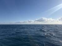 Great day of scuba diving in Key Largo with Rainbow Reef on benwood wreck tropical destiny 2026 02 08 r19479 1