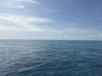 Great day of scuba diving in Key Largo with Rainbow Reef on benwood wreck tropical legend 2026 02 28 r19532 1