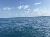 Great day of scuba diving in Key Largo with Rainbow Reef on benwood wreck tropical serenity 2026 02 18 r19502 1