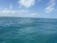 Great day of scuba diving in Key Largo with Rainbow Reef on christ statue tropical serenity 2026 02 18 r19503 1