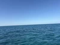 Great day of scuba diving in Key Largo with Rainbow Reef on city of washington tropical destiny 2026 02 07 r19478 1