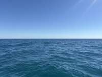 Great day of scuba diving in Key Largo with Rainbow Reef on drift french tropical destiny 2026 02 06 r19474 1