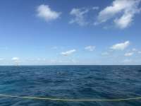 Great day of scuba diving in Key Largo with Rainbow Reef on eagle ray alley tropical destiny 2026 02 17 r19501 1