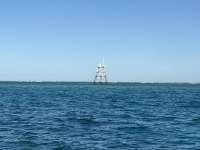 Great day of scuba diving in Key Largo with Rainbow Reef on eagle ray alley tropical destiny 2026 02 25 r19519 1