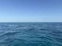 Great day of scuba diving in Key Largo with Rainbow Reef on jjs cave tropical legend 2026 02 27 r19522 1