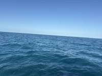 Great day of scuba diving in Key Largo with Rainbow Reef on snapper ledge tropical adventure 2026 02 20 r19506 1