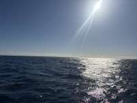 Great day of scuba diving in Key Largo with Rainbow Reef on spiegel grove tropical odyssey 2026 02 02 r19464 1