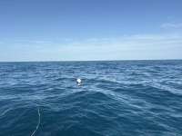 Great day of scuba diving in Key Largo with Rainbow Reef on woodys tropical legend 2026 02 28 r19528 1