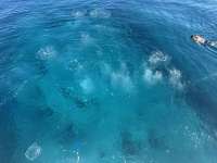 Great day of scuba diving in Key Largo with Rainbow Reef on benwood wreck tropical adventure 2026 01 02 r19381 1