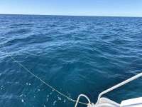 Great day of scuba diving in Key Largo with Rainbow Reef on benwood wreck tropical destiny 2026 01 02 r19379 1