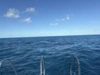 Great day of scuba diving in Key Largo with Rainbow Reef on benwood wreck tropical destiny 2026 01 09 r19403 1