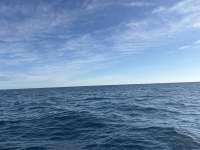 Great day of scuba diving in Key Largo with Rainbow Reef on benwood wreck tropical destiny 2026 01 31 r19461 1